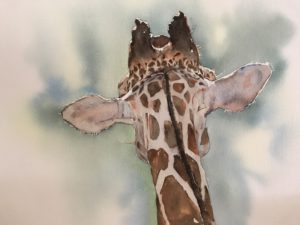 Processed with Rookie Cam