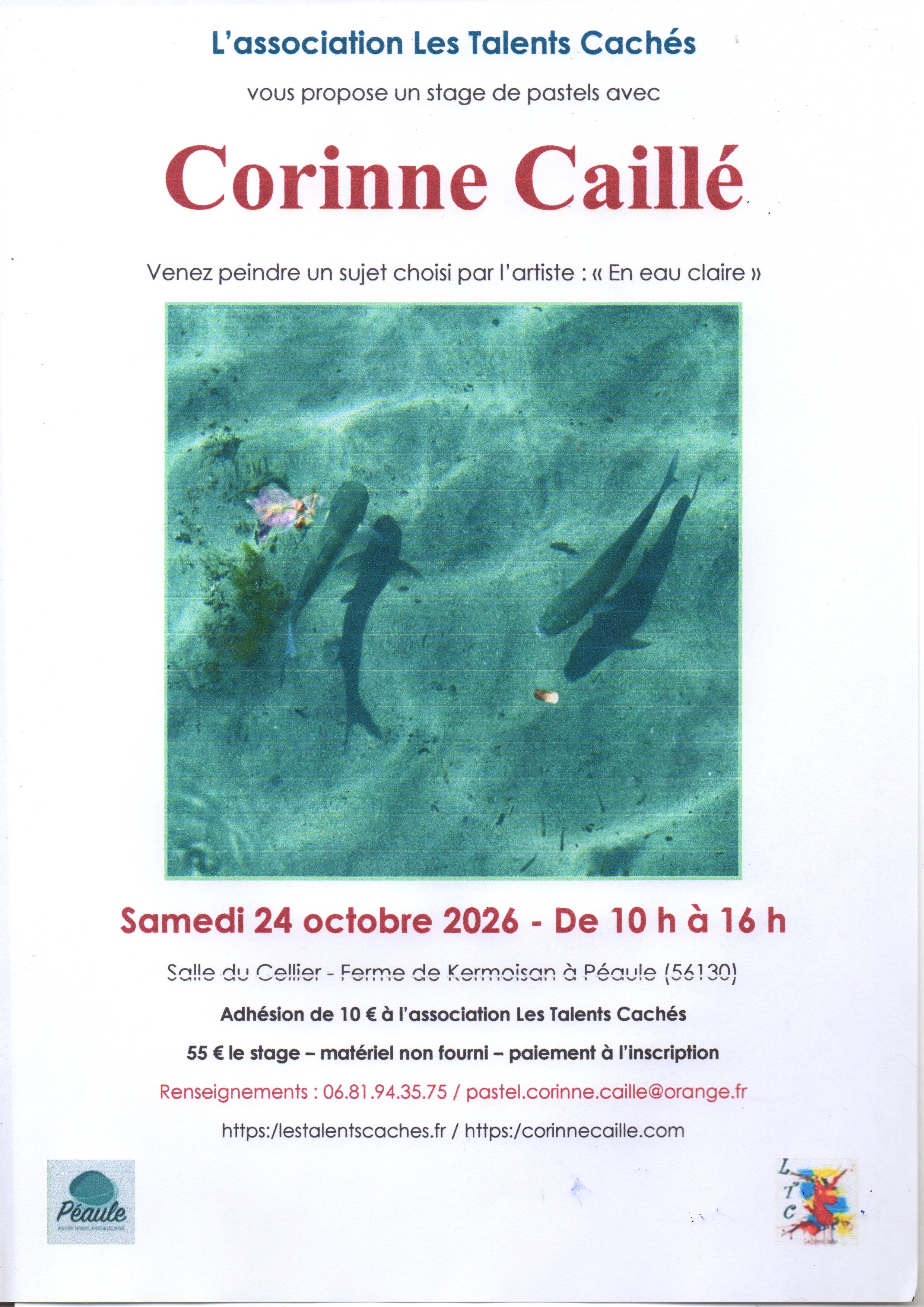 Stage CCorinne Caillé 24 10 2026